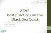 SEAP best practices on the Black Sea Coast - GEODHgeodh.eu/wp-content/uploads/2012/07/SEAP_best_practices.pdf · SEAP best practices on the Black Sea Coast Round table “Covenant