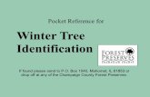 Winter ID pocket reference - University Of Illinois · • Shape and color of leaf scars • Color and structure of tree bark . General Notes • Species with opposite arrangements