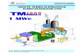1 MWe - CFAS Gas Turbine & Diesel Generators Site Mapcfaspower.com/TM1000.pdf2.3.1 - GAS TURBINE COMPARTMENT ... 2.9 - CONTROL AND INDICATION SYSTEM ... Turbine and reduction gear