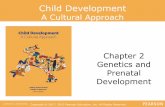 Chapter 2 A Cultural Approach to Child Development 15... · 2.4 Describe how the concept of epigenesis frames gene–environment interactions, and connect epigenesis to the concept