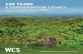 120 YEARS A CONSERVATION LEGACYfscdn.wcs.org/2015/07/24/4rs4acwmu7_wcs_historical_timeline.pdf · 120 YEARS A CONSERVATION LEGACY Wildlife Conservation Society SAVING WILDLIFE AND