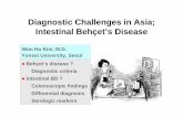 Diagnostic Challenges in Asia; Intestinal Behçet’s Disease · zBehçet’s disease ? Diagnostic criteria zIntestinal BD ? Colonoscopic findings Differential diagnosis Serologic