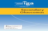 Secondary Glaucomas - Glaucoma Association · This free booklet is brought to you by the International Glaucoma Association (IGA), the charity for people with glaucoma. We haven’t