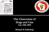 The Glaucomas of Dogs and Cats - In Focus · The Glaucomas of Dogs and Cats July 18th 2009 Richard R Dubielzig. Definition of Glaucoma Intraocular pressure too high for the normal