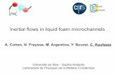 Inertial flows in liquid foam microchannels - flowingmatter.euflowingmatter.eu/wordpress/myContent/2015/Roma/Raufaste.pdf · Melde's experiment with a liquid string II - Oscillation