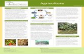 Poster Print Size: Change Color Theme: Agriculturekadagaya.org/Agriculture_workgroup_poster.pdf · Poster Print Size: ... Chiang R. Cost/Benefit Analysis of Aquaponic Systems. Pdf