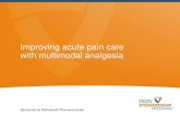 Improving acute pain care with multimodal analgesia · Improving acute pain care with multimodal analgesia ... laparoscopic cholecystectomy, total abdominal hysterectomy, and …
