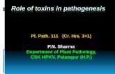 Role of toxins in pathogenesis - Hill Agric. 6a Pl Path... · Role of toxins in pathogenesis Pl. Path. 111 (Cr. Hrs. 3+1) P.N. Sharma Department of Plant Pathology, CSK HPKV, Palampur