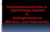 Agent Orange Exposure Cholangiocarcinoma (Bile … Cancers Due to Agent...- Agent Orange is a blend of tactical herbicides the U.S. military sprayed from 1962 to 1971 during Operation