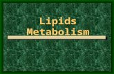 Lipids Metabolism - University of Pittsburghsuper7/18011-19001/18021.… · PPT file · Web view · 2008-04-27Lipids Metabolism Prepared by AKRAM ... Mathematical model system Finite