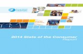 2014 State of the Consumer Report - smartenergycc.orgsmartenergycc.org/wp-content/uploads/2014/01/2014-State-of-the... · Consumer Pulse and Market Segmentation Research Program ...