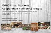 WNC Forest Products Cooperative Marketing Project - … · WNC Forest Products Cooperative Marketing Project Erica Anderson, AICP Land-of-Sky Regional Council . Social and Economic