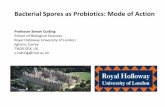 Bacterial Spores as Probiotics: Mode of Action Spores as Probiotics: ... Natto B. subtilis var. Natto Japanese staple ... And are Bacillus spores present in