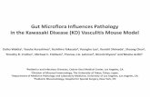 Gut Microflora Influences Pathology in the Kawasaki ...wcm/@sop/... · Gut Microflora Influences Pathology in the Kawasaki Disease (KD) Vasculitis Mouse Model Daiko Wakita1, Yosuke