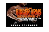 Legal Disclaimer - Amazon S3Big+Arm+Blueprint.pdfLegal Disclaimer Warning: All the information presented in The Bigger Arms Blueprint is for educational and resource purposes only.