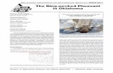 The Ring-necked Pheasant in Oklahomapods.dasnr.okstate.edu/docushare/dsweb/Get/Document-7381/NREM-9017...The ring-necked pheasant ... General distribution of the ring-necked pheasant