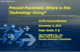 Precast Pavement, Where is this Technology Going? Annual Meeting. December 5, 2014. Peter Smith, P. E. The Fort Miller Co., Inc. NPCA, PCI & Caltrans . Precast Pavement Committees.