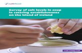 Survey of salt levels in soup in catering establishments ... · nutritional requirements in most countries worldwide. In the Republic of Ireland ... an Irish National Accreditation