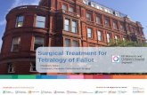 Surgical Treatment for Tetralogy of Fallot - SingHealth · Surgical Treatment for Tetralogy of Fallot ... Adopted from Brizard CP, et al. Pulmonary atresia, ... 7~8% in CCAD, STS