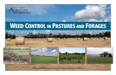 eed Control in Pastures and orages - Texas A&M Universitypublications.tamu.edu/WEEDS_HERBICIDES/2014 Suggestion for Weed... · Weed Control. in . Pastures. and . ... mechani-cal,