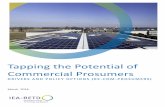 Tapping the Potential of ommercial Prosumers - RETDiea-retd.org/wp-content/uploads/2016/04/RE-COM... · Tapping the Potential of ... IEA-RETD aims to empower policy makers and energy