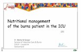 Nutritional management of the burns patient in the ICU · Nutritional management of the burns patient in the ICU ... as any ICU therapy Energy delivery Protein delivery ... CO Crit
