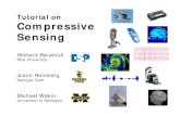 Tutorial on Compressive Sensing - University of …feihu.eng.ua.edu/compressive.pdfwavelet transform. Sparsity / Compressibility ... – WLOG assume sparse in space domain ... –