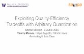 Exploiting Quality-Efﬁciency Tradeoffs with …homes.cs.washington.edu/~moreau/media/slides/qappa-codes2017-slides...Exploiting Quality-Efﬁciency Tradeoffs with Arbitrary Quantization