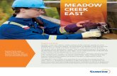 MEADOW CREEK EAST - Squarespace facts and information from Suncor Energy about this proposed project Project overview Meadow Creek East will be a steam assisted gravity drainage (SAGD)