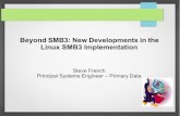Beyond SMB3: New Developments in the Linux SMB3 … · – Cluster File Systems (ocfs2, gfs2) – Network File Systems (nfs, cifs/smb2/smb3, ceph) – Special Purpose File Systems