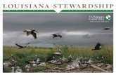 Louisiana tewardships - The Nature Conservancy landry Grand Isle Program Manager mollicy FARmS pRoJect oFFice chris Rice Northeast Project Assistant new oRleAnS oFFice Amy Kyle Smith