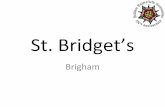 St. Bridget’s · charisma and talent, ... The total number of Male Occupiers in 1866 was 1,571, ... Mr. Alexander Shepherd, sen., and J. Askew, Brigham.