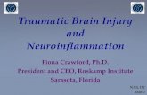 Traumatic Brain Injury and Neuroinflammation/media/Files/Activity Files/Research...Traumatic Brain Injury and Neuroinflammation Fiona Crawford, ... all demonstrate inflammation ...