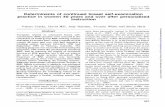 Determinants of continued breast self-examination practice … · Determinants of continued breast self-examination practice in women 40 years and over ... teaching session between