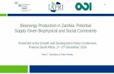 Bioenergy Production in Zambia: Potential Supply Given ... · Indaba Agricultural Policy Research Institute Bioenergy Production in Zambia: Potential Supply Given Biophysical and