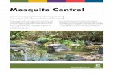 Mosquito Control - City of Ipswich · Mosquito Control Some mosquitoes found in and around your house can cause diseases such as Ross River Virus, Barmah Forest ... • Use mosquito