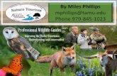 Wildlife Guide Training Program - Oregon State …blogs.oregonstate.edu/extensiontourismnetwork/files/2015/...Wildlife Guide Training Program Part 2 • You will learn to identify