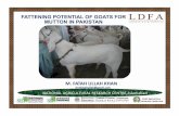 FATTENING POTENTIAL OF GOATS FOR MUTTON IN …sedf.gos.pk/LDFA-2017-Presentations/Fattening Potencials of Goat... · FATTENING POTENTIAL OF GOATS FOR MUTTON IN PAKISTAN ... 1993 and