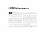 Chapter 5 Operational Efficiency - World Banksiteresources.worldbank.org/INTPEAM/Resources/Chapter5.pdfChapter 5 Operational Efficiency. ... accounting systems. ... Operational Efficiency