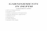 GARNISHMENTS IN DEPTH - Statewide Advantage for … ·  · 2017-04-04GARNISHMENTS IN DEPTH GARNISMENT TYPES ¾ Writ of Sequestration ¾ Student Loan ... ¾ Chapter 7 – Liquidation