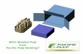 WHY Molded Pulp from Pacific Pulp Molding? · Engineering and Design Advantages with Molded Pulp • 3D solid modeling of your product and our Molded Pulp solution, for optimal results