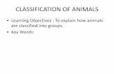 CLASSIFICATION OF ANIMALS - All Saints Academy, … OF ANIMALS ... Classifying Animals ... Success criteria 1. I can state what is meant by the term classification. 2.