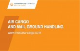 AIR CARGO AND MAIL GROUND HANDLING - … · AIR CARGO AND MAIL GROUND HANDLING