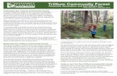 Trillium Community Forest - Whidbey Camano Land Trust · Protecting the Trillium Community Forest In 2010, during the height of the recession, the Whidbey Camano Land Trust raised