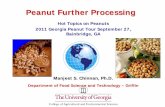 Peanut Further Processing - University of Georgiacaes2.caes.uga.edu/commodities/fieldcrops/peanuts/pi… ·  · 2011-09-30Peanut Further Processing. University ... Peanut candy 25%.