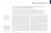Post-transcriptional gene regulation by mRNA modifications€¦ · RNA from all living organisms can be post- transcriptionally modified by a collection of more than 100 distinct