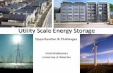 Utility Scale Energy Storage - webdocs.cs.ualberta.cawebdocs.cs.ualberta.ca/~oardakan/files/Storage.pdf · •Super Capacitor Storage Technologies 15 •Overloaded Stations •Renewable-rich