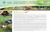 Monthly Newsletter - SFAC Indiasfacindia.com/PDFs/VIUC Newsletters/VIUC-Newsletter... · the vegetables from the Farmer Interest Groups ... supply side of the vegetable sector, ...