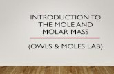 Introduction to the Mole and Molar Mass - ACCPNW MASS OF 0.5 MOLES OF LEAD (PB) IS ____ G. 82 Pb 207.2 103.6 6. THE MASS OF 100 MOLES OF (NI) IS _____ G. 28 Ni 58.69 5869.00 MOLAR