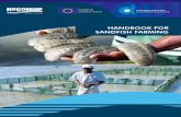 HANDBOOK FOR SANDFISH FARMING - Reef Resilience · HANDBOOK FOR SANDFISH FARMING. ... The key steps to develop community-based mariculture ... hatchery and nursery production should
